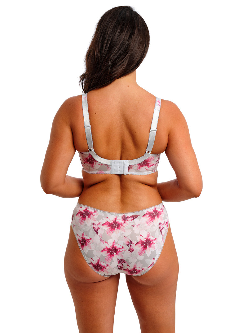 Figi Fantasie PIPPA FL100750WFR Brief Wallflower