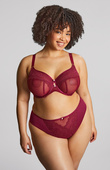 Figi Sculptresse by Panache NATALIA 11212 High Leg Brief Bordeaux Red