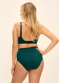 Figi Fantasie DEMURE FL103251FOG Full Brief Green Forest