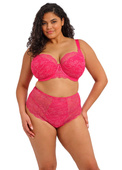 Koronkowe szorty plus size Elomi DARCIE EL302980AZA Short Azalea