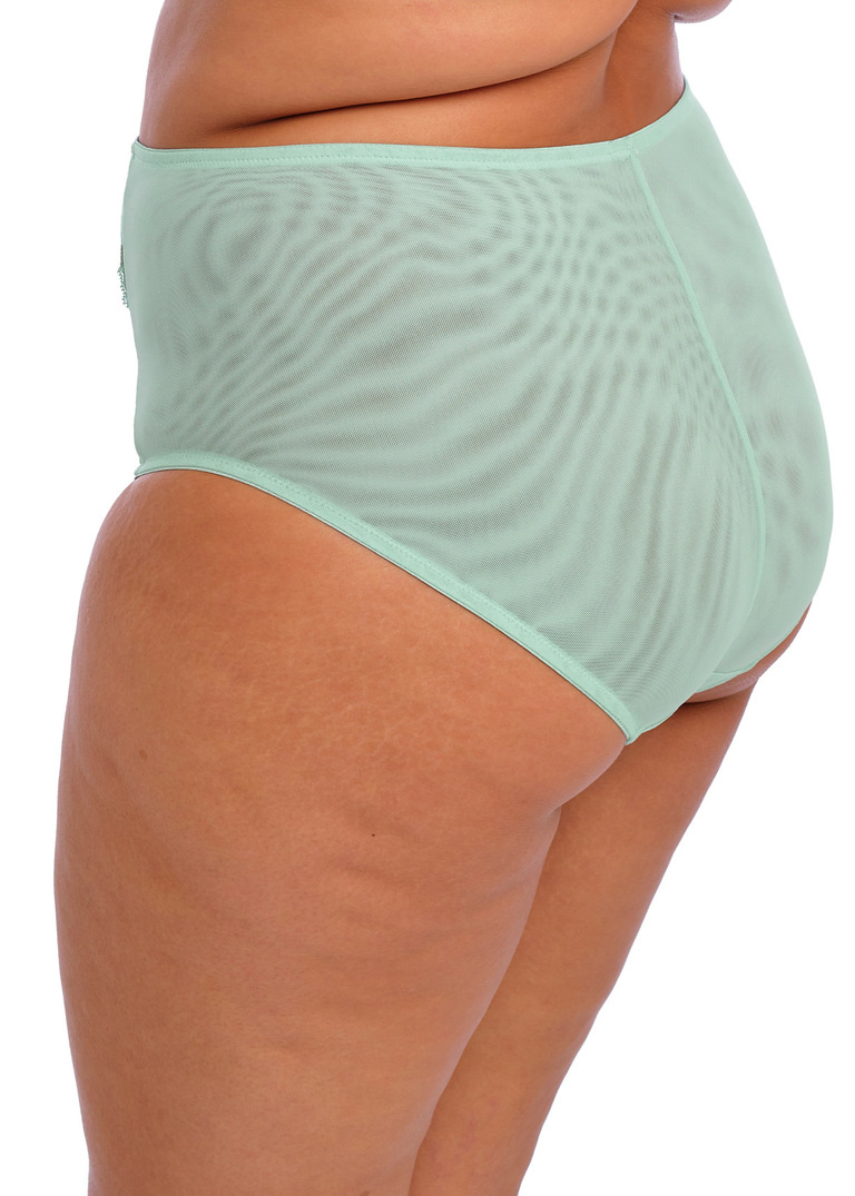 Figi Elomi BRIANNA EL8085FRN Full Brief Frozen