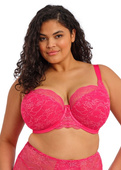 Biustonosz Elomi DARCIE EL302915AZA Uw Padded Half Cup Bra Azalea