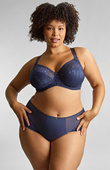 Figi Sculptresse by Panache DREAM 10804 Deep Brief Navy