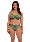 Figi kąpielowe Fantasie MAYA BAY FS505772PRI Mid Rise Bikini Brief Peridot