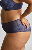 Figi Sculptresse by Panache DREAM 10804 Deep Brief Navy