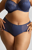 Figi Sculptresse by Panache DREAM 10804 Deep Brief Navy