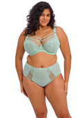 Figi Elomi BRIANNA EL8085FRN Full Brief Frozen