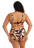 Biustonosz kąpielowy Elomi Swim OCEAN AVENUE ES803402MUI Uw Plunge Bikini Top Multi